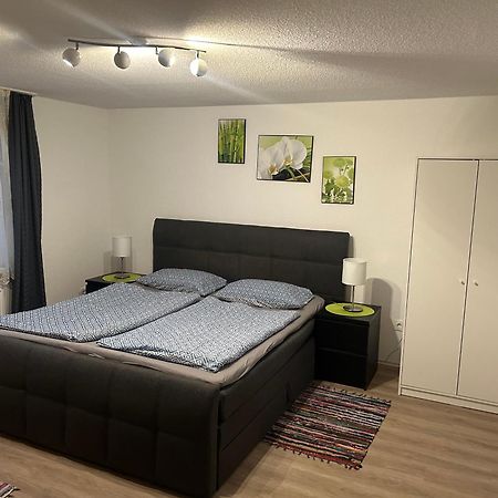 Ferienhaus Ayna, Direkt An Der Schweizer Grenze Bad Säckingen Kültér fotó