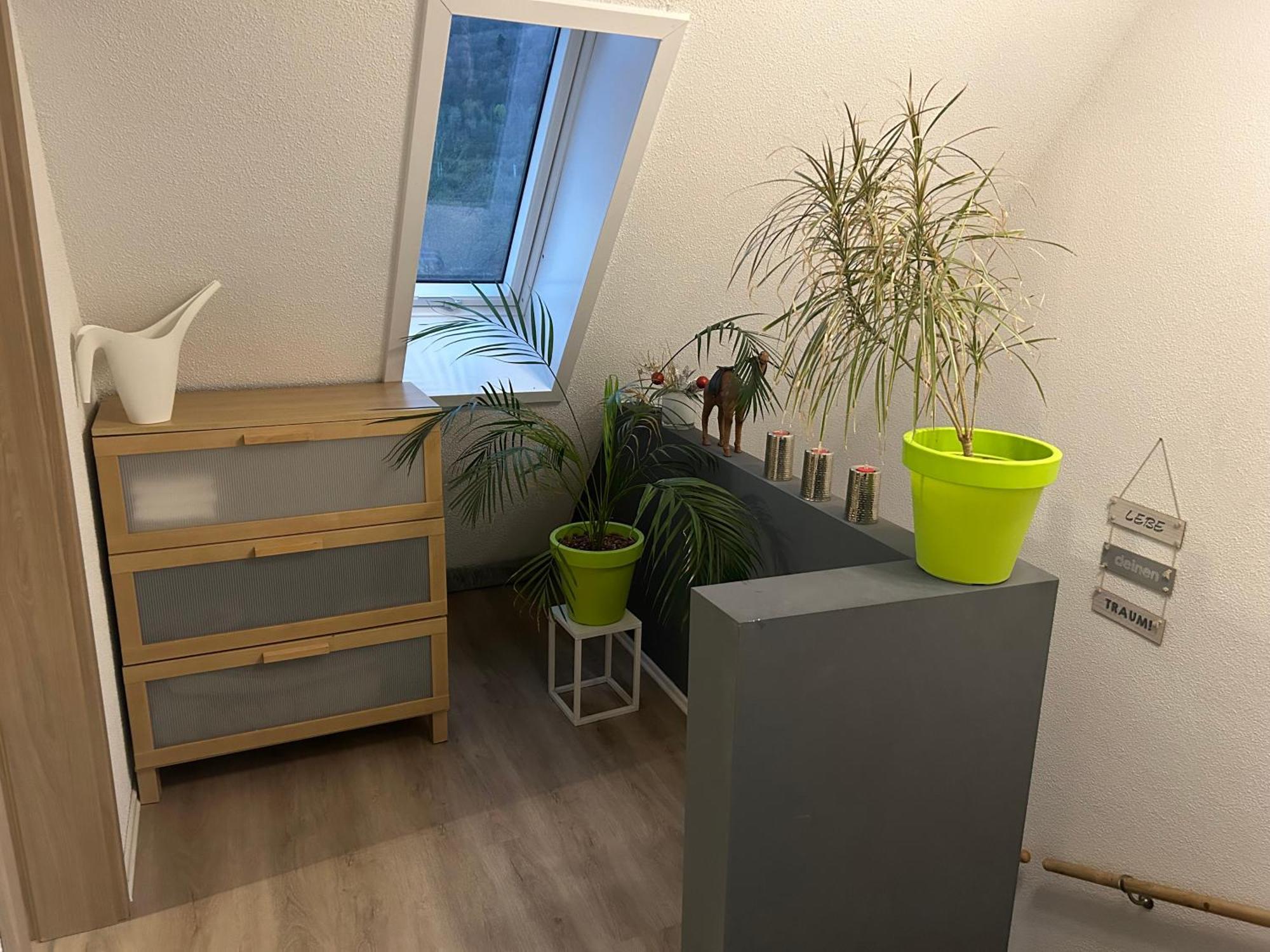 Ferienhaus Ayna, Direkt An Der Schweizer Grenze Bad Säckingen Kültér fotó